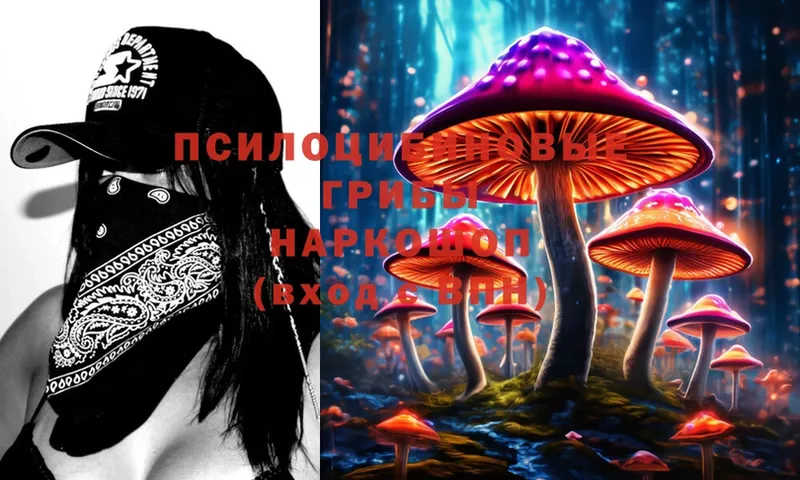 Псилоцибиновые грибы MAGIC MUSHROOMS  Кемь 